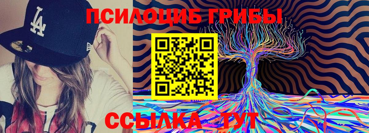 Галлюциногенные грибы мицелий  Галлюциногенные грибы Psilocybe  Вход с VPN  как найти   Каменск-Уральский 
