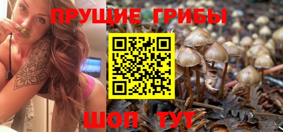 Псилоцибиновые грибы GOLDEN TEACHER Каменск-Уральский